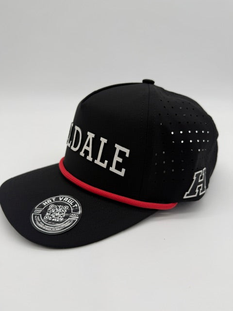 Hilldale 5 Panel NEW Release Black
